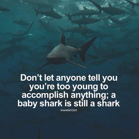 11.4k Likes, 175 Comments - 6am Success Motivation Quotes (@6amsuccess) on Instagram: “Tag a shark 🦈 — don’t forget who you are 🤙 you have what it takes. “It’s going to take all you got”…” Shark Quotes, Ocean Quotes Inspirational, Quotes Greatful, Favoritism Quotes, Billionaire Sayings, Challenges Quotes, Success Motivation Quotes, And Quotes, Soulful Quotes