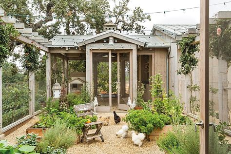 Brooke's office is connected to this vegetable garden where some of her chickens hang out! The Stunning and Classic Home of the Giannetti's at Patina Farm Reban Ayam, Patina Farm, Greige Design, Coop Design, Chicken Garden, Building A Chicken Coop, Chicken Coop Plans, Provence Style, Design Library