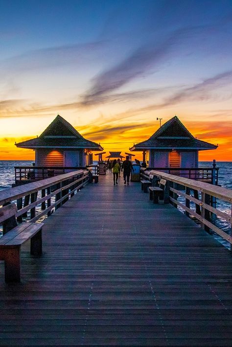 If you're looking for a breathtaking view, the Naples Pier is definitely worth a visit. With miles of white-sand beaches and crystal-clear waters as your backdrop, it's easy to see why this spot is a favorite among locals and tourists alike. Whether you're coming to enjoy some downtime on the beach or take in the sights and sounds of one of Florida's most vibrant cities, make sure to add the Naples Pier to your itinerary! 📸: Michelle Raponi Best Travel Locations, Caladesi Island State Park, Naples Pier, Clearwater Marine Aquarium, Florida Aesthetic, Clearwater Beach Florida, Clearwater Florida, White Sand Beaches, Marine Aquarium