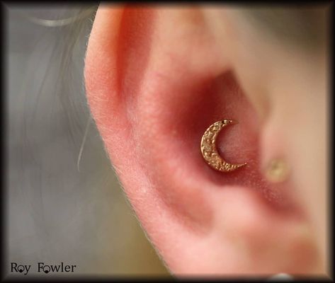 Piercing Conch, Come See Me, Conch Earring, Conch Piercing, Gold Moon, Helix Piercing, Come And See, See Me, Conch