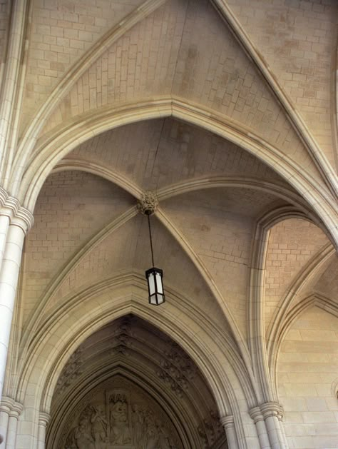 Ribbed Vault Gothic Architecture, Gothic Ceiling, Castle Structure, Dungeon Design, Gothic Architecture Drawing, Barrel Vault, Gothic Ornament, Gothic Period, Ribbed Vault