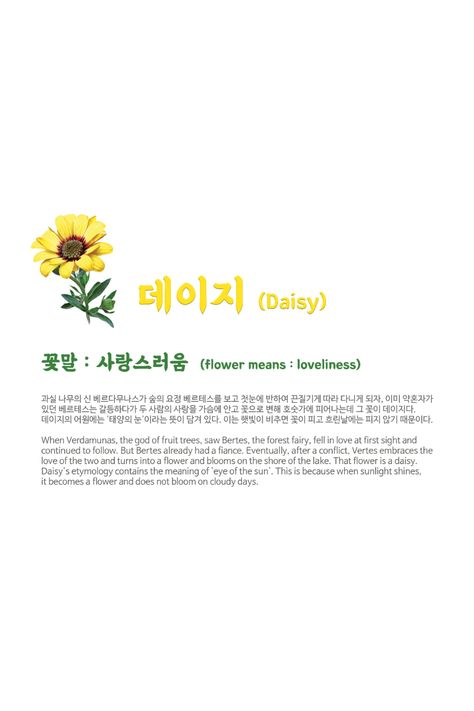 Sun Flower Meanings, Daisy Meaning Flowers, Meaning Of Daisy Flowers, Daisy Name Meaning, The Flower That Was Bloomed By A Cloud Dowun, Daisy Spiritual Meaning, Daisy Meaning, Flower Definitions, Daisy Quotes