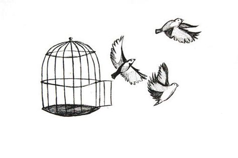 . Songbird Tattoo, Birdcage Tattoo, Myspace Layout, Freedom Tattoos, Cage Tattoos, Cowboys And Angels, Flying Bird Tattoo, Flying Tattoo, Bird Sketch