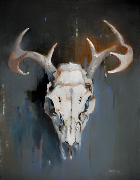 Scott Ewen / Deer Skull Still Life / 18 x 24 / oil on canvas    http://wwww.scottewen.net Animal Skull Painting, Skull Painting Ideas, Animal Skull Drawing, Deer Skull Art, Gcse Art Sketchbook, Animal Skull, Oil Art, Deer Skull, Skull Painting