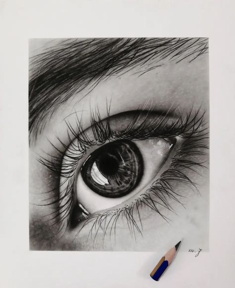 By @pencils_mz Real Eyes Drawing, Realistic Pencil Drawings Nature, Realistic Sketches Nature, Hyper Realistic Drawings, Realism Drawings, Sketches Nature, Charcoal Ideas, Photorealistic Drawings, Portrait Drawing Tips