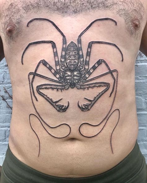 Whip Scorpion Tattoo, Tailless Whip Scorpion, Whip Scorpion, Scorpion Tattoo, Scorpion, Body Art, Flash, My Style, Tattoos