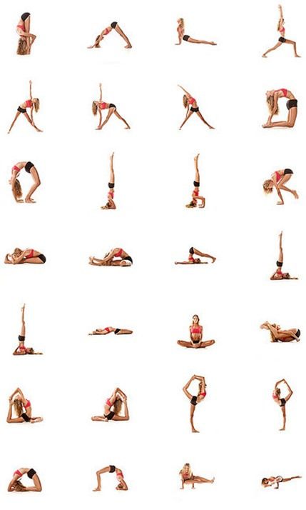 Streching Excersise, Cheerleading Stretches, Hata Yoga, Ashtanga Vinyasa Yoga, Sport Model, Sup Yoga, Yoga Posen, Yoga Iyengar, Pose Yoga