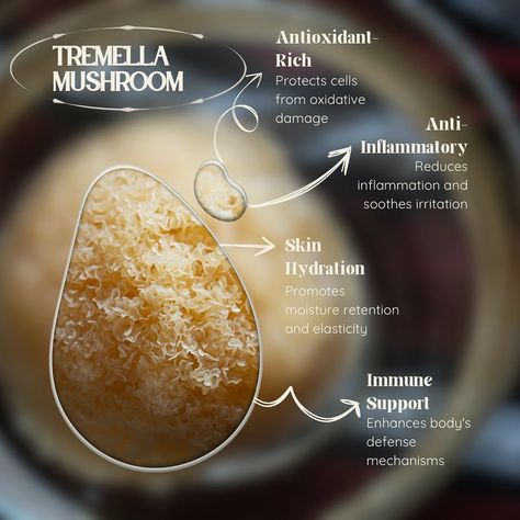 Hey everyone! 👋🏼 Did you know that #TremellaMushrooms are not only delicious but also packed with amazing health benefits? That’s right, this #ProteinSource is a powerhouse of antioxidants, vitamins, and minerals that can boost your immune system and promote overall wellness, above all that it has been a secret ingredient to lot of #BeautyTeas and #soups. Weather you simmer it in water and make a tea or add it in your daily smoothie, it’s a great way to start your day or a perfect pick-me-u... Miso Noodle Soup, Tremella Mushroom, Daily Smoothie, Mushroom Tea, Mushroom Cultivation, Boost Your Immune System, Perfect Dinner, Delicious Drinks, Secret Ingredient