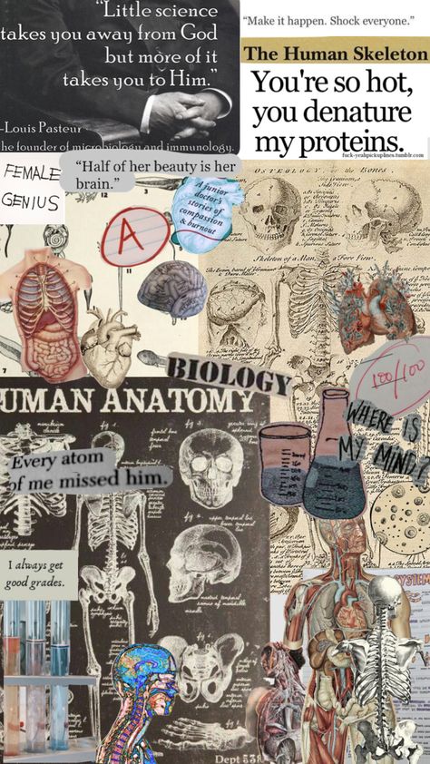 Immunology Aesthetic, Louis Pasteur, Medical School Life, Human Skeleton, Anatomy Art, School Life, Medical School, Anatomy, Medicine