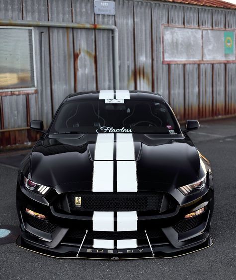 Car Graphics Decals, Gt500 Shelby, Ford Mustang Shelby Gt350, Mustang Car, Stanced Cars, Shelby Gt350, Mustang Cobra, Ford Racing, Ford Mustang Shelby