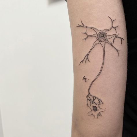 Biology Tattoo, Psychology Tattoo, Anatomical Tattoos, Illustrative Tattoos, First Tattoo Ideas, Anatomy Tattoo, Science Tattoo, Science Tattoos, Brain Tattoo