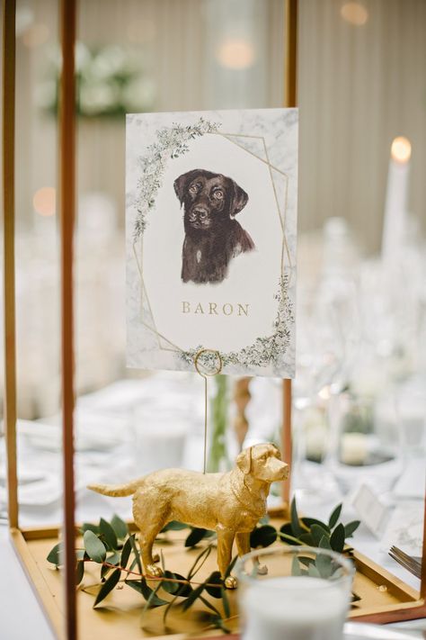 Table Numbers Wedding Dog, Dog Wedding Centerpieces, Wedding Table Numbers Dogs, Dog Wedding Table Numbers, Dog Wedding Seating Chart, Pet Table Numbers Wedding, Dog Table Numbers Wedding, Diy Table Numbers, Wedding Table Names