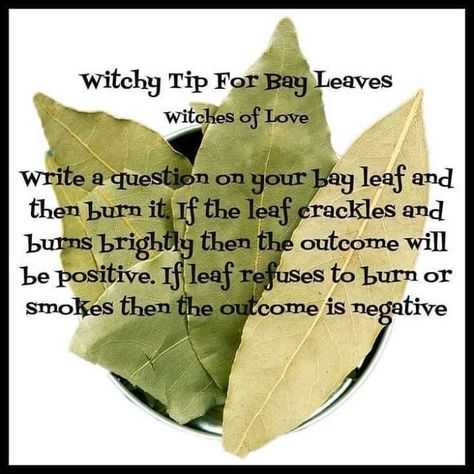 Bay Leaf questions Pagan Practices, Witch's House, Witch Things, Witch Crafts, Witchy Tips, Witch Herbs, Spells For Beginners, Cottage Witch, Spell Jars