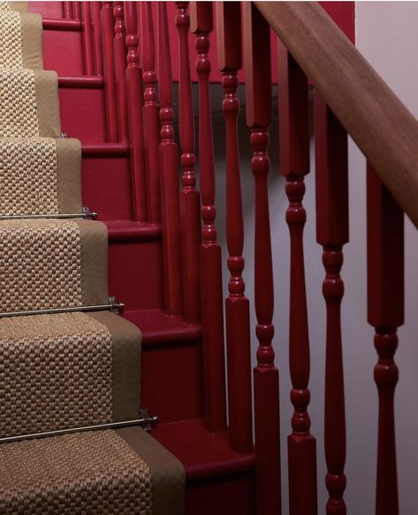 Terracota Stairs, Red Staircase, Burgundy Staircase, Red Stairs, Red Carpet Staircase, Red Stair Carpet, Red Hallway Aesthetic, Stairs And Hallway Ideas, Hallway Flooring