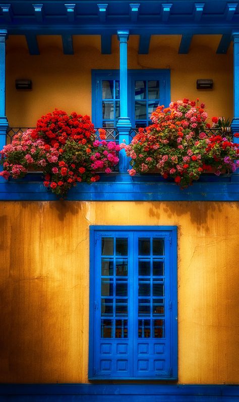 Blue Front Door, Casa Country, Cool Doors, Front Door Colors, Blue Door, Unique Doors, Beautiful Doors, Door Color, The Doors