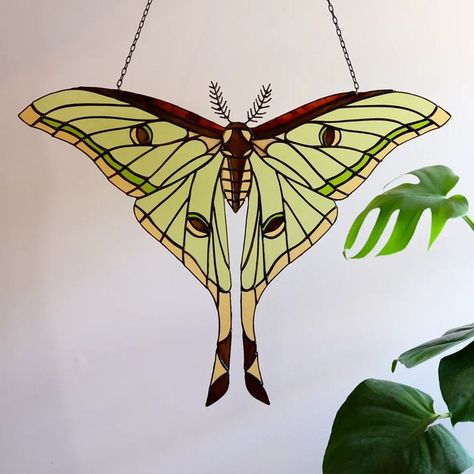 Stained Glass Luna Moth, Suncatchers Aesthetic, Stained Glass Moth, Spanish Moon Moth, Cute Moth, Lunar Moth, Personal Investigation, Moon Moth, Glass Inspiration