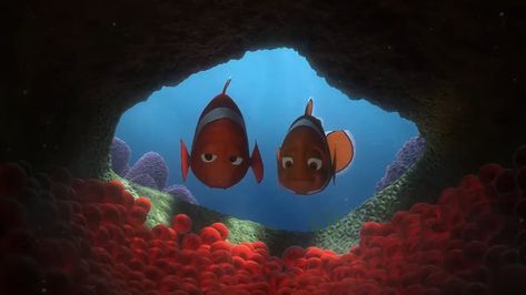 Finding Nemo fans are left distraught over gruesome theory about one of the Disney movie's most iconic scenes: 'I've gotta call my therapist' #DailyMail Pee Wee Herman, Not Your Fault, Iconic Scenes, The Sinister, Your Fault, The Reef, Stop Trying, Boho Aesthetic, Clown Fish