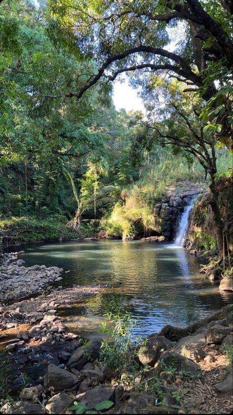 Landscapes With Water, Top Of Waterfall, Nature Waterfall, Water Fall Pictures Ideas, Pretty Waterfall, Forest Waterfall Photography, Waterfall In Forest, Real Waterfall, Fantasy Waterfall Forest