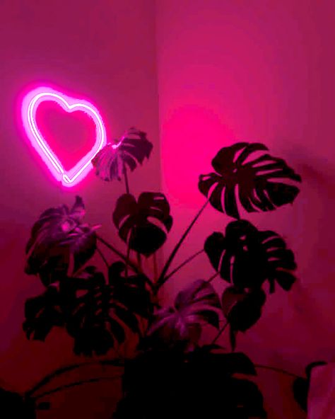 Hot Pink Black Aesthetic, Fuchsia Aesthetic Wallpaper, Dark Pink Asthetics, Dark Pink Aesthetic Background, Magenta Aesthetic Wallpaper, Hot Pink And Black Aesthetic Pictures, Neon Pink Aesthetic, Magenta Aesthetic, Dark Pink Aesthetic