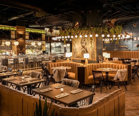 This Swanky Fine Dining Restaurant In Arizona Is Marvelously Moody Restaurants In Phoenix Az, Phoenix Arizona Restaurants, Scottsdale Restaurants, Aesthetic Bar, Phoenix Restaurants, Lakeside Restaurant, Arizona Restaurants, Best Mexican Restaurants, Rainbow Room