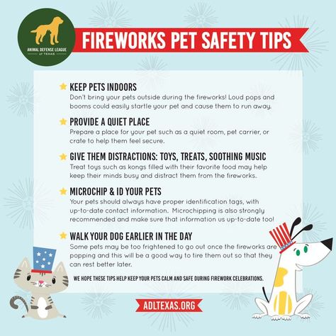 Dogs And Fireworks, Summer Safety Tips, Firework Safety, Summer Safety, Most Popular Dog Breeds, Dog Cages, Dog Safety, Dog Rules, Bird Cages