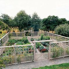 Fenced Vegetable Garden, Deer Fence, Plants Growing, Garden Area, Garden Types, Veg Garden, The Secret Garden, Vegetable Garden Design, Garden Fencing