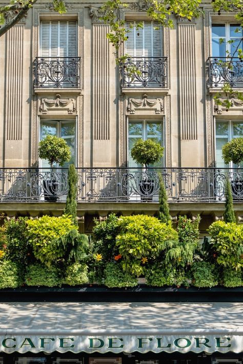 cafe de flore in paris Balcony Hanging Plants, Architecture Styles, Balcony Planters, Paris Green, Ceiling Plan, Architecture Elevation, Paris Decor, Gothic Cathedrals, Neoclassical Architecture