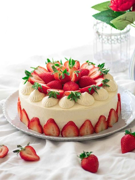 Japanese Strawberry Shortcake - SugarYums Strawberry Shortcake Christmas, Japanese Strawberry Shortcake, Strawberry Cake Decorations, Japan Cake, Cake Korean, Easy Strawberry Desserts, Shortcake Cake, Strawberry Shortcake Cake, Japanese Cake