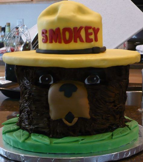 Smokey The Bear Smokey the Bear's head. Fire Cake, Smokey The Bear, Smokey Bear, Bear Birthday Party, Bear Cake, Smokey The Bears, Animal Cakes, Bear Party, Bear Head