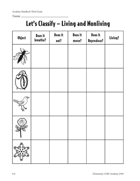 Characteristics of Living Things     Made of Cells  Obtain and Use Energy  Grow and Develop   Reproduce  Respond to Their Environment  Ada... Stem Worksheets, Non Living Things, Characteristics Of Living Things, Living And Nonliving, Biology Worksheet, Second Grade Science, 1st Grade Science, First Grade Science, Primary Science