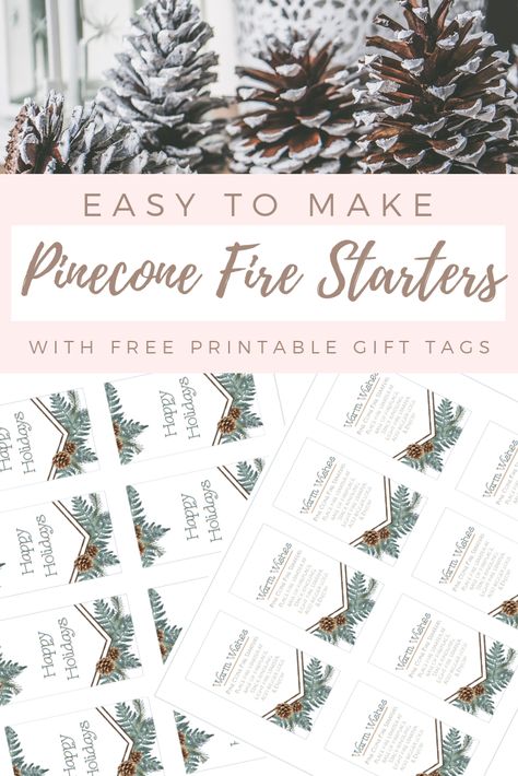 Pinecone Firestarters, Firestarters Diy, Best Fire Starter, Homemade Fire Starters, Art Sources, Pinecone Fire Starters, Fire Starters Diy, Fire Starter Kit, Cone Crafts