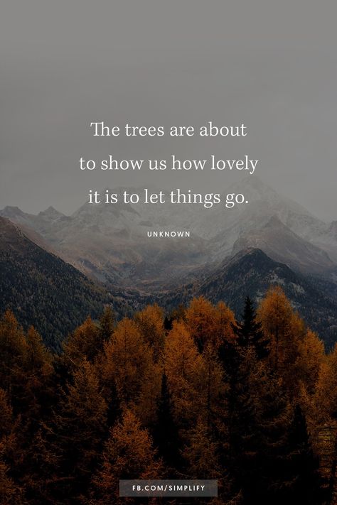 Let Things Go, Season Quotes, Letting Go Quotes, Vibe Quote, Happy October, Garden Quotes, Autumn Quotes, Fall Feels, Nature Quotes