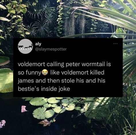 Marauders Tweets, Marauders Fan Art, Peter Pettigrew, Harry Potter Headcannons, All The Young Dudes, Remus Lupin, Harry Potter Marauders, Marauders Era, Mischief Managed