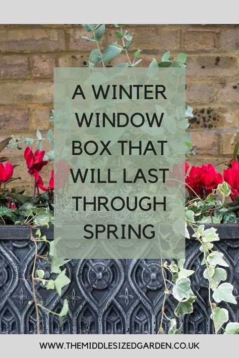 Window Box Flowers Winter, Winter Window Flower Box Ideas, Window Planter Christmas Decor, Cottage Style Window Boxes, Window Box Planting Ideas, Year Round Window Boxes Plants, Small Fall Window Boxes, Artificial Plants Outdoor Window Boxes, Winter Flower Boxes Outside