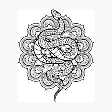 https://encrypted-tbn0.gstatic.com/images?q=tbn:ANd9GcSry3K9rsVgs2ASQHiRFC3N93fjsxN-6LqhJg&s Snake Mandala, Doodle Tattoo, Reptiles Pet, Cool Design, Waterproof Stickers, Reptiles, Metal Posters Design, Metal Posters, Beautiful Art