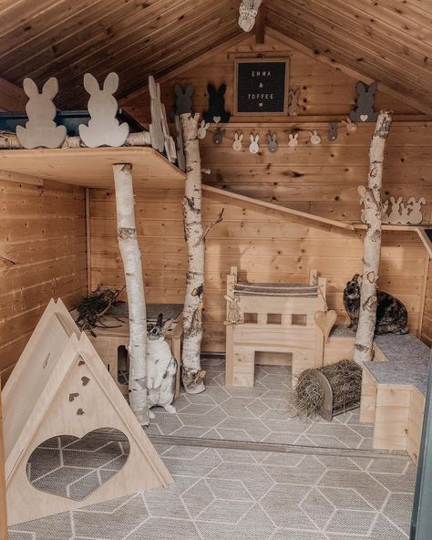 Bunny Houses Outdoor, Diy Bunny Playground, Bunny Incloser, Bunny Room Ideas Rabbit, Bunny Shed Ideas, Rabbit House Diy, Rabbit Shed Ideas, Diy Rabbit House, Bunny House Outdoor