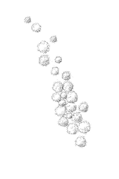 drawing of patch of forest in elevation using cad blocks Tree Plan Photoshop, Tree Plan Png, Architectural Trees, Architecture Symbols, Plan And Elevation, Photoshop Landscape, Landscape Architecture Plan, Tree Collage, Cad Library