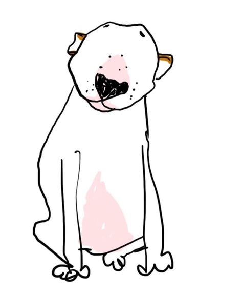 Bulldog Doodle, Bull Terrier Funny, Bull Terrier Art, Mini Bull Terriers, Miniature Bull Terrier, Drawing Dog, Dog Grooming Business, English Bull Terriers, Silly Dogs