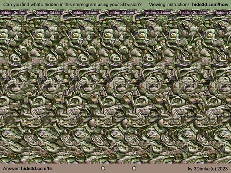 Gothic creature : Stereogram Images, Games, Video and Software. All Free! 3d Hidden Pictures, Hidden 3d Images, 3d Stereograms, Magic Eye Pictures, Illusion Pictures, Apple Iphone Wallpaper Hd, Eye Pictures, 3d Pictures, 3d Image