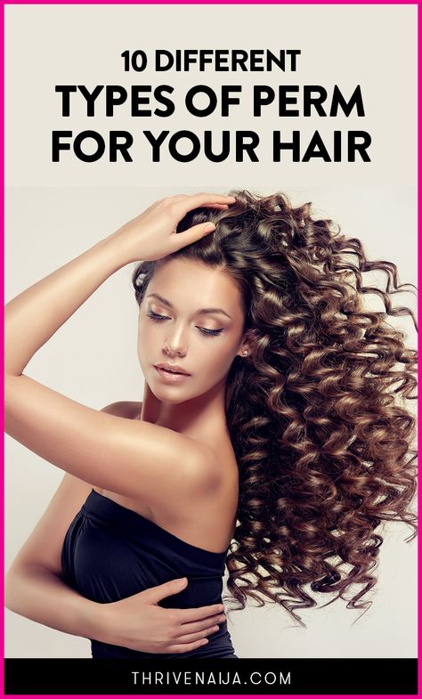 Did you know there are about 10 or more different types of perms? Here they are! Perm Types, Big Curl Perm, Loose Spiral Perm, Spiral Perm Long Hair, Different Types Of Perms, Loose Curl Perm, Body Perm, Types Of Perms, Loose Perm