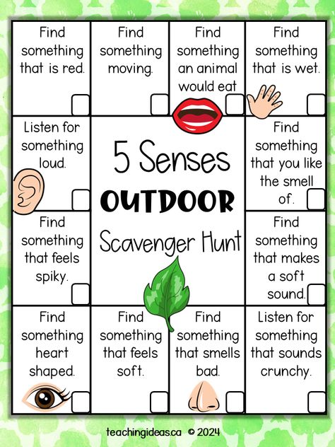 Free 5 Senses Scavenger Hunt Prek Senses Activities, Our Senses, Five Senses For Kindergarten, Halloween 5 Senses Activities, Sensory Scavenger Hunt, At Home Scavenger Hunt For Kids, Toddler 5 Senses Activities, Five Senses Outdoor Activities, 5 Senses Lesson Plans Preschool