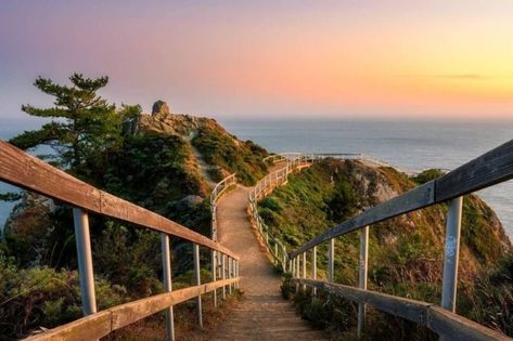 10 Essential Spots To Catch A Bay Area Sunset - Secret San Francisco San Francisco Hikes, Sunset Beach Aesthetic, San Francisco Beach, San Francisco Travel Guide, Muir Beach, Hiking Destinations, San Francisco Travel, Best Sunset, Gorgeous View