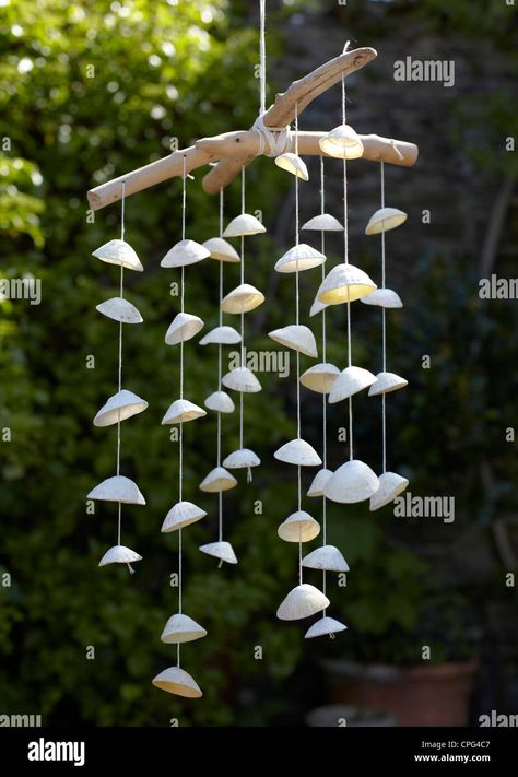 Limpet Shell, Shell Wind Chimes, Butterfly Room, Rock And Pebbles, Seashell Crafts, Shell Art, Shell Crafts, Wind Chime, Wind Chimes