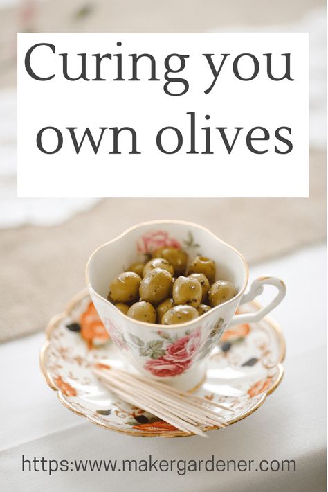 Healthy Fats Foods, Salt Brine, Olive Harvest, Pizza Topping, Olive Recipes, Greek Olives, Pizza Design, Cooking With Olive Oil, Green Fruit