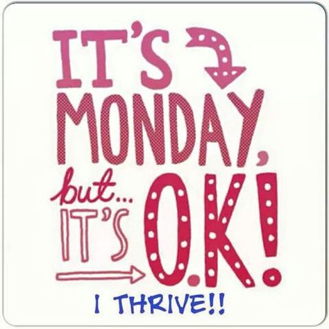 Monday's are no match for #thriving https://nixfix713.le-vel.com/IndustryShift/ End Of Day Quotes, Today Is Monday, Love Mondays, Thrive Le Vel, Thrive Life, Hello Monday, It's Monday, Monday Quotes, Monday Blues