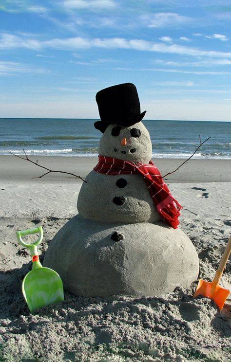 Sand Snowman to do when you got to the beach! Must do!! Christmas card! Sand Snowman, Florida Christmas, Siesta Key Beach, Beachy Christmas, Florida Girl, Family Christmas Cards, Sand Sculptures, I Love The Beach, Beach Christmas