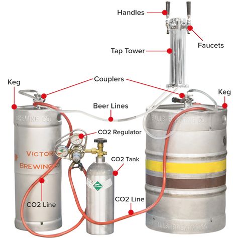 Beer system anatomy! Types of Kegs | Beer Tap Towers and Components Diy Beer Tap, Kegerator Diy, Starting A Restaurant, Beer Truck, Keg Tap, Home Brewing Equipment, Beer Wall, Diy Beer, Home Brewery