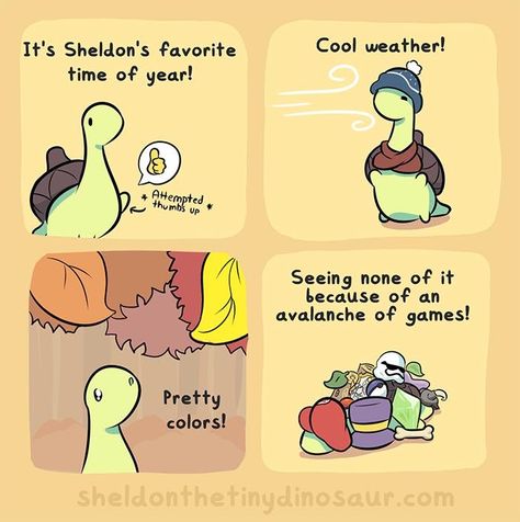 Sheldon The Tiny Dinosaur, Turtle Dinosaur, Turtle Photo, Tiny Dinosaur, Tiny Turtle, Cute Stories, A Turtle, Cute Dinosaur, Cute Memes