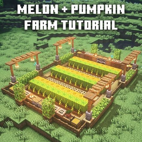 Minecraft Melon Farm, Minecraft Layouts, Minecraft Obsidian, Minecraft Automatic Farm, Minecraft Circles, Minecraft Pumpkin, Minecraft Building Blueprints, Construction Minecraft, Minecraft Structures