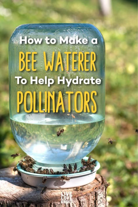 Bee Waterer, Backyard Bee, Bee Friendly Garden, Backyard Beekeeping, Bee Hotel, Garden Flower Beds, Bee Garden, Bee Friendly, Pollinator Garden